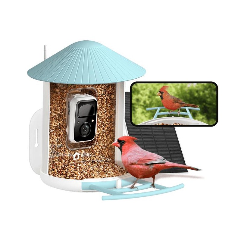 Birdfy Feeder with Solar Panel - Solar Powered Bird Feeder