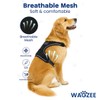 Wagzee Dog Harness – No Pull Adjustable Harness for Small,
