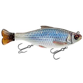 Savage Gear Hechtköder zum Spinnfischen & Schleppangeln 18cm 90g 3D Hard Pulsetail Roach Slow Sinking, Farbe:Roach (Rotauge)