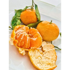 Fresh Satsuma Mandarin from California (4)