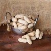 FixtureDisplays Hampton Farms Roasted Salted In-Shell Peanuts 25 lb. WS-113PNUT2013