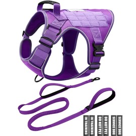 Reflective Purple Service Dog in Training Vest Harness Leash Set for Medium Dogs, Adjustable Heavy Duty Padded Dog Harness, with Front Clip and Metal Buckles Do Not Pet for Training, Hiking