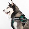 Dogline Unimax Service Dog Harness Vest with Removable Service Dog