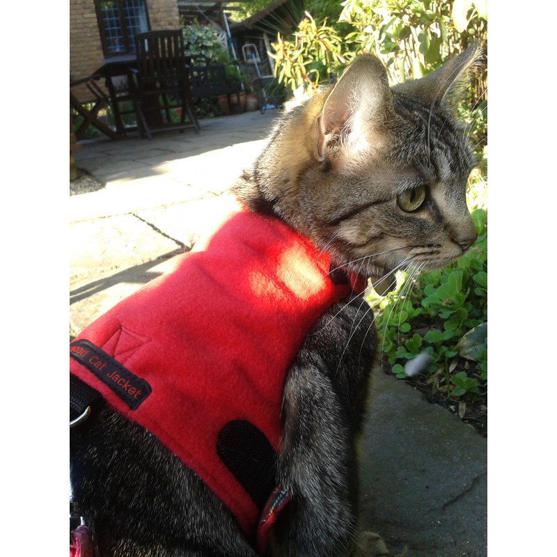 Mynwood Cat Jacket/Harness Red Fleece Kitten up to 8month