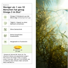 Nibio Omega 3 Vegan | High Dose Vegan Omega-3 Made from Algae Oil with 350 mg EPA & 150 mg DHA per Capsule | Sustainable, Non-Toxic & Bioavailable | 60 Capsules for 2 Months