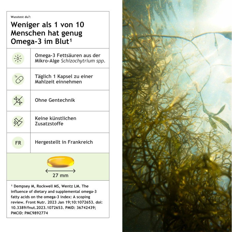 Nibio Omega 3 Vegan | High Dose Vegan Omega-3 Made