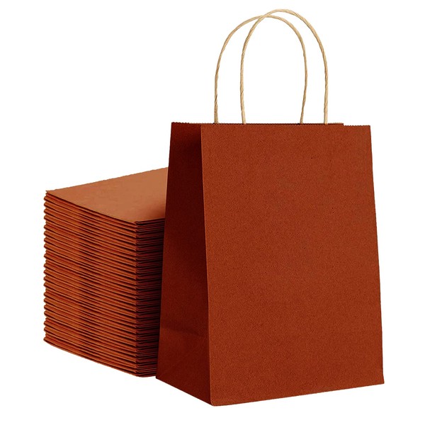 Elegant Supply Kraft Paper Bags with Twisted Handles-10x5x13 inches, Bulk