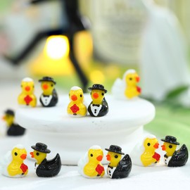 Soulchen 50 Pcs Wedding Resin Duck Mini Bride Groom Ducks Marriage Resin Figurines Bulk Small Animal Figurines Fairy Moss Landscape DIY for Wedding Ceremony Bridal Gift Souvenir (Retro)