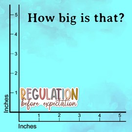 (3Pcs) Regulation Before Expectation Sticker Motivational Quote Inspirational Decals Waterproof Vinyl Stickers for Books Laptops Phone Water Bottles Tumbler Cup Kindle 3 Inch