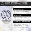 Absolute Aromas Fennel, Sweet (foeniculum valgare VAR Dulce) Essential Oil
