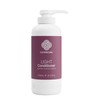 Clever Curl Light Conditioner 450ml