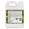 EcoRaider Bed Bug Killer Spray 1 Gallon Jug, Green +