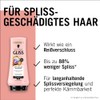 Gliss Conditioner Anti-Split Ends Miracle (200 ml), Conditioner Repairs Damaged