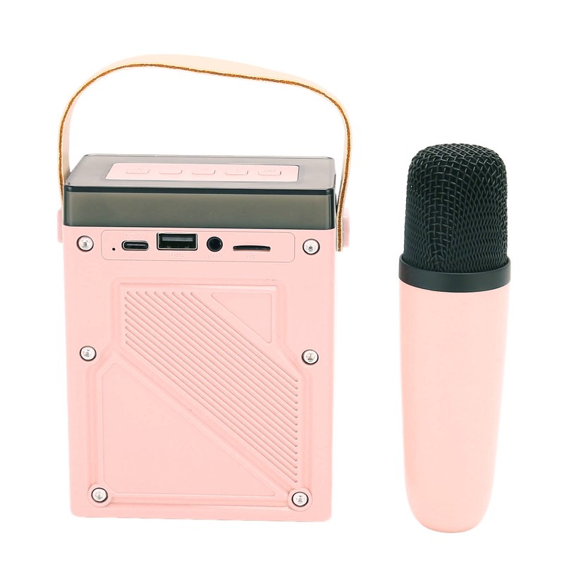 Karaoke Machine Set with RGB Light Rechargeable Bluetooth Speaker with