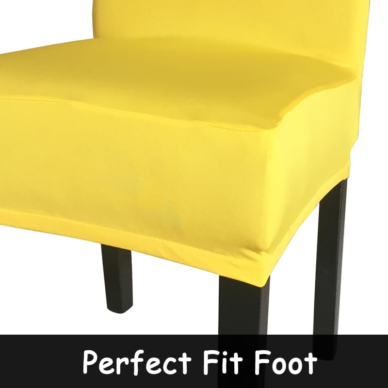 Gold Fortune - Funda protectora de tela de elastano elástica