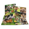 HERMA Portfolio Folder A4 Rodents, Children's Corner Folder Made of