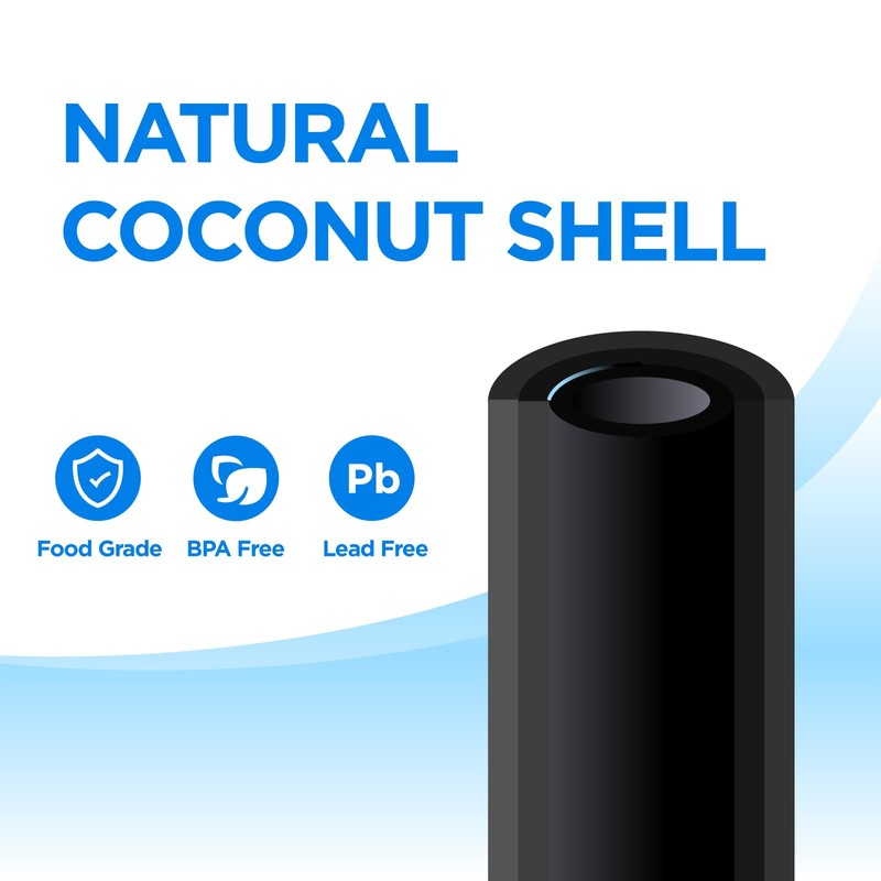 1 Micron 2.5" x 10" Whole House CTO Carbon Water