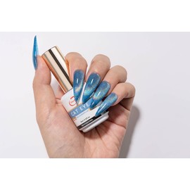 Vanfa Soak off Gel Nail Polish Cat Eye 0.5 Oz (Holograph #04)