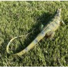 Monitor Lizard Replica - Green - Realistic PVC AAA