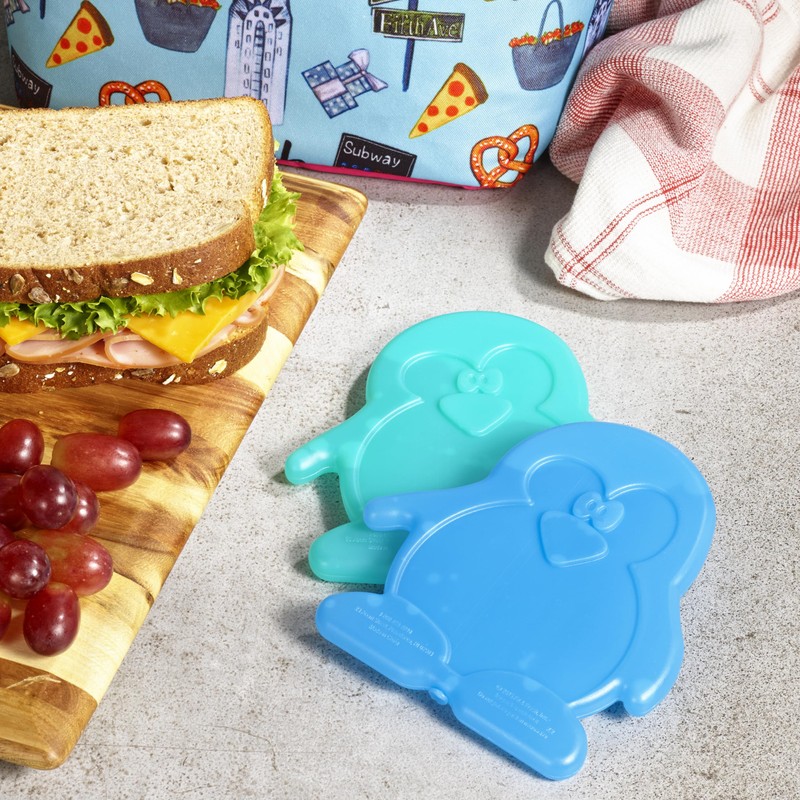 Fit & Fresh Cool Coolers Kids Lunch Box Ice Packs,
