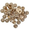 RDEXP Solid Brass Flat Head Nail Rivets Chicago Screws and