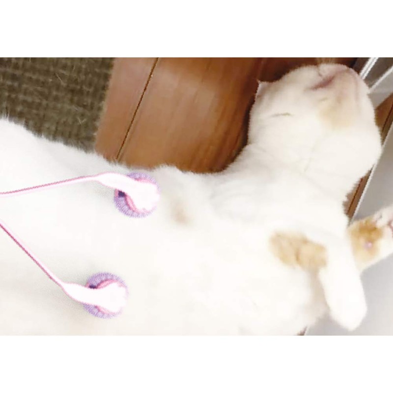 Catty Man Whole Body Masser Technique Nyanko Healing - -