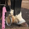 Hoof Pick for Horses Donkey Goats Hoof with Extra Stable