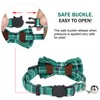 QH-Shop Cat Collar with Bell and Bow Tie, Pack of