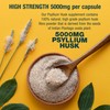 Fibre Supplement 5000mg Psyllium Husk with 500 Million Multi-Strain Probiotic