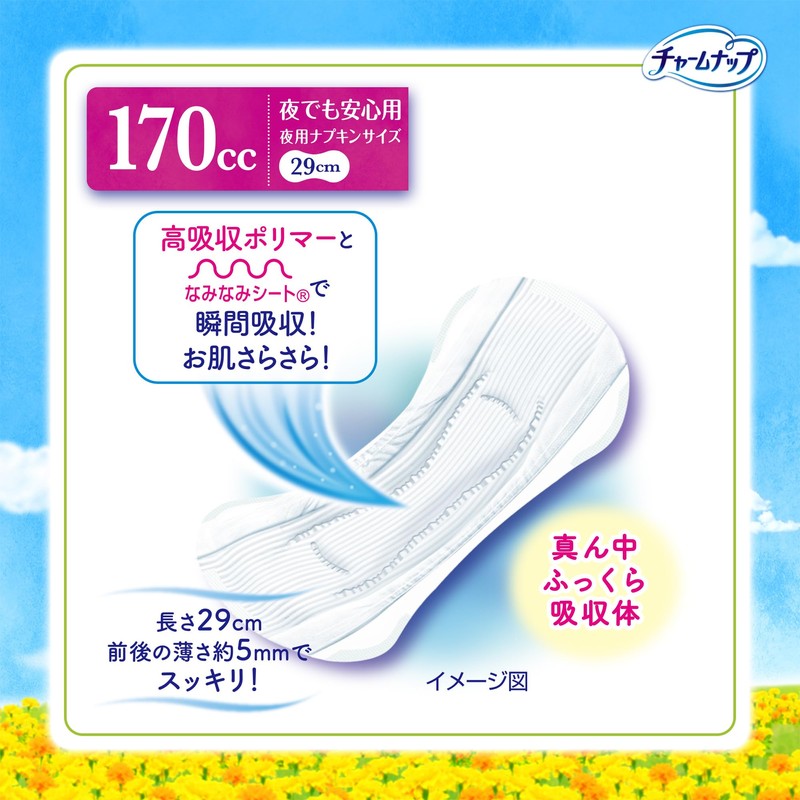 CharmNap Absorbent Sarafi for Night Use, No Feathers, 6.1 fl