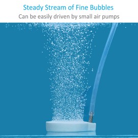 Pawfly 2 Inch Fine Bubble Air Diffuser Air Stone Disc for Small Air Pump Aquarium Fish Tank