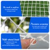 GIDWRIY Safety Net Balcony Children 1.5 x 3 m, Protective