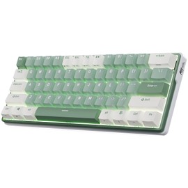 RK ROYAL KLUDGE RK61 Plus Mechanical Keyboard, 60% Percent Wireless Gaming Keyboard with USB Hub, Bluetooth/2.4Ghz/Wired RGB Hot Swappable PC Keyboard for Win/Mac/Android, Tactile Pale Green Switches