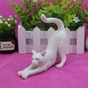 QUINTRA Flower Pots Car, Beautiful Flower Decoration, Pot, Micro, se