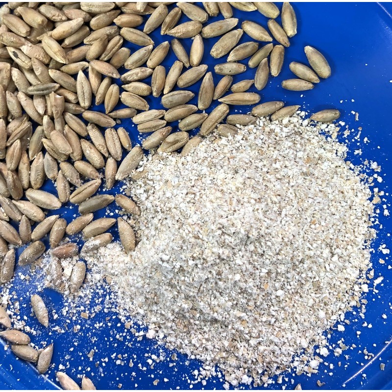 Early Morning Harvest Organic Dark Rye – Made from Organic,