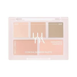 LUNA Long Lasting Conceal Palette New Color 03 Perfect Cover Natural 04 Perfect Cover Medium (4 Perfect Cover Medium, Normal)