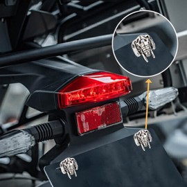 Temzzer Anti-Theft License Plate Screws Motorcycle License Frame Bolts Nuts Unique Car Plate Screws Bolts for Most Vehicle Motorcycle 4 Pcs (Silver 1)