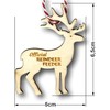 MAGICAL REINDEER FOOD BAG + CHARM + WOODEN SANTA'S LOST