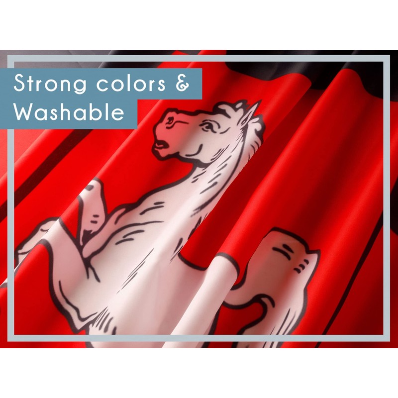 PHENO FLAGS Lower Saxony Flag - Federal State Flag with