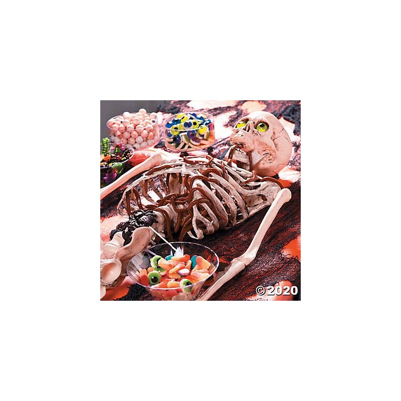 Realistic Gummy Bugs - Candy & Goodies - 454G