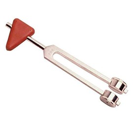 Taylor 081234079 Hammer with 128 CPS Tuning Fork, Shape
