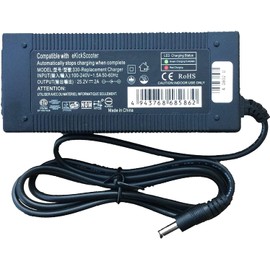 2 Amps Smart AC Adapter Compatible with Jetson Ember Electric Scooter JEMBER-BLK