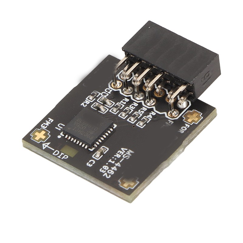 TPM2.0 Module TPM SPI 12Pin Module with SLB 9670 Standalone