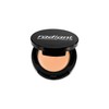 Radiant Professional High Coverage Creamy Concealer - Under Eye Concealer