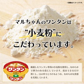 Soup Curry Wonton 1oz (29g) x 12 ea.