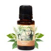 Patchouli (Light) Essential Oil (Pogostemon Cablin) | 100% Pure Therapeutic