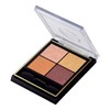 Excel Real Close CS16 Eyeshadow, Color: Hot Cache Cool
