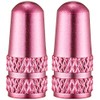  Alligator (Alligator) NC – FR 仏式 Valve Caps Pink (Pk)