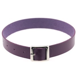 tenghong2021 Punk Gothic Y2K Leather Choker Necklace - Purple, Unisex Adult, Women, Men - Fashion Jewelry - Zinc, Choker - No Gemstone - 41cm