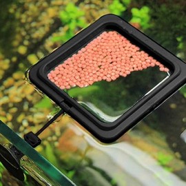 2 anillos de alimentación de peces negros, redondos y cuadrados negros para acuario, alimentadores de alimentos con ventosa para tortugas de peces dor